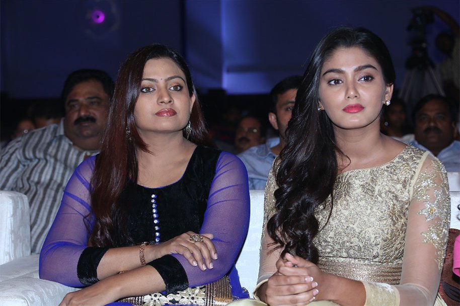 Dikkulu-Choodaku-Ramayya-Movie-Audio-Launch